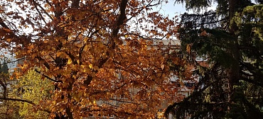 Квартира в многоквартирном доме Посуточно 3-комн квартира в Крыму г. Алуште