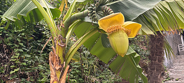 Гостевой дом "Пантера"