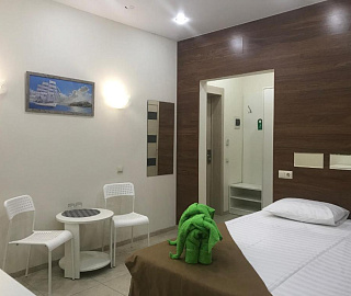 2,3,4 местный. Гостевой дом "Зеленый слон". 