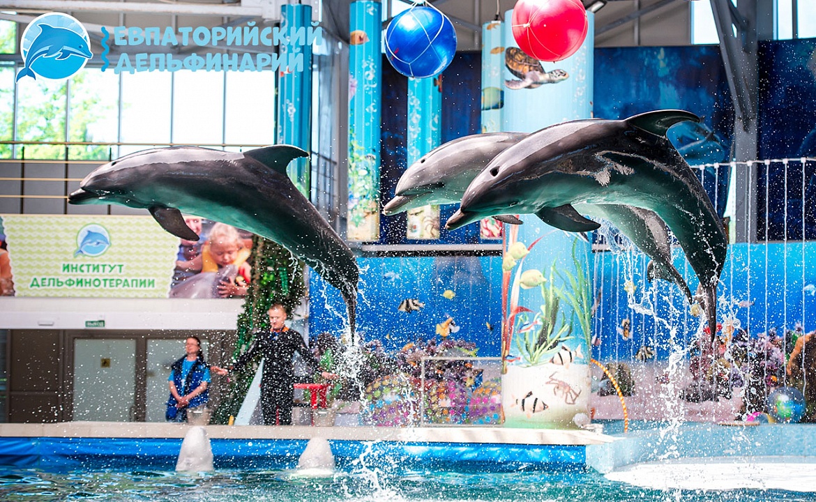Фото евпаторийского дельфинария взято с сайта: http://dolphinevpatoria.ru/