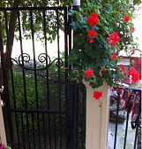 Гостевой дом "АТикА" Гостевой дом "АТикА"