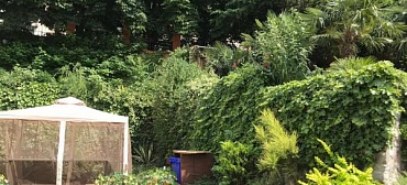 Гостевой дом Гостевой дом «Floral Courtyard» Гостевой дом Гостевой дом «Floral Courtyard»