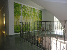 Отель "Felix" Отель "Felix"