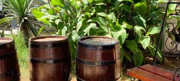 Гостевой дом "Пицунда"