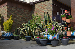 Гостевой дом "Джемма" 