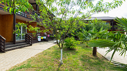 Отель "Эко-Папа"