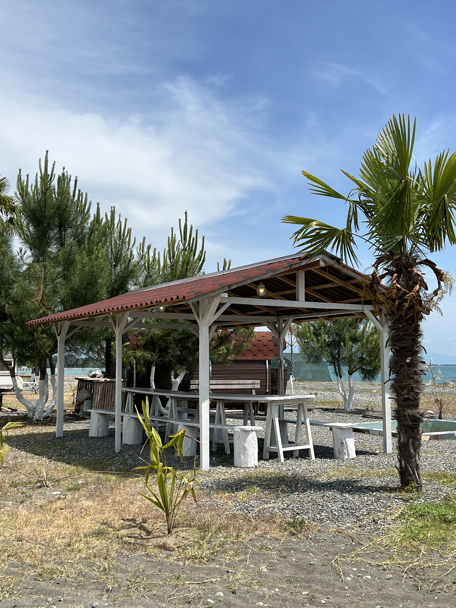 . База отдыха Сосновый бор. Сухум