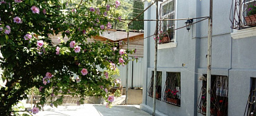 Гостевой дом Gagra Cat bnb