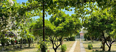 Гостевой дом "Dom Karleone"