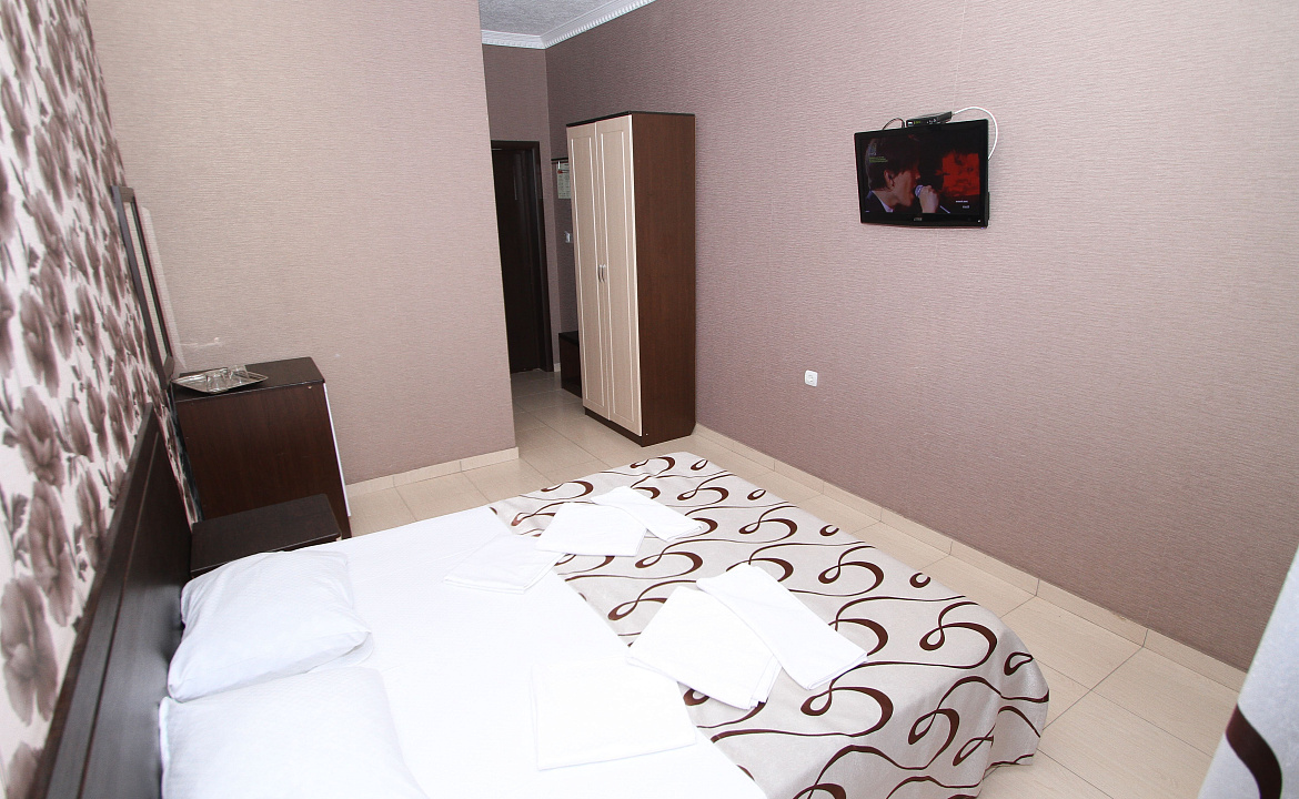 ПОЛУЛЮКС 2-Х МЕСТНЫЙ. Отель “ЯНАКИС”. Витязево