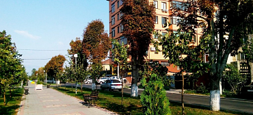 Квартира в многоквартирном доме Однокомнатная Кати Соловьяновой 84 Квартира в многоквартирном доме Однокомнатная Кати Соловьяновой 84