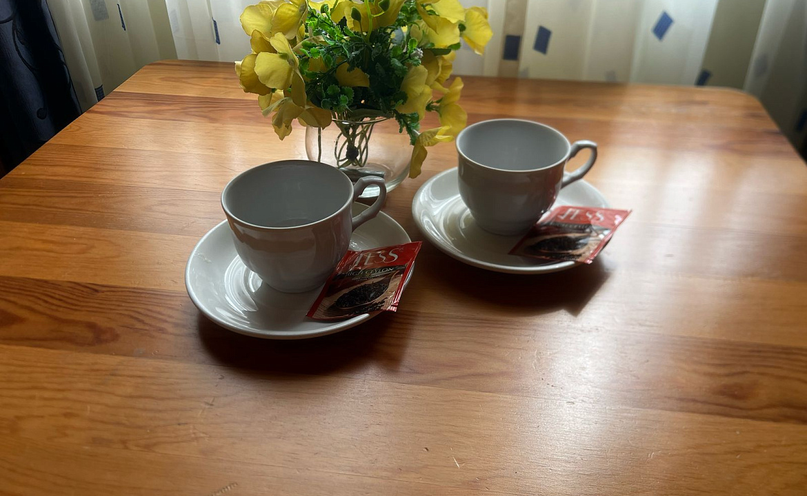 Двухместный номер с кондиционером. Гостевой дом Эксклюзив. Вардане