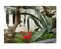 Гостевой дом "Белый дом"