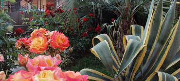 Апарт-отель “Planeta MOV”