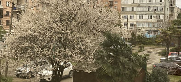 Двухкомнатная квартира у рынка 