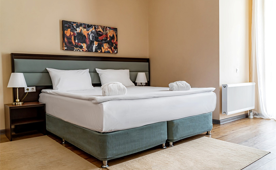 Делюкс апартаменты с 1 спальней. Апарт-отель "Бонус". Красная Поляна