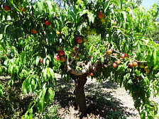 Частный сектор Дом