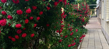 Дом под ключ Гостевой  дом у Ольги