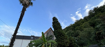 Гостевой дом "Сосновый рай" 