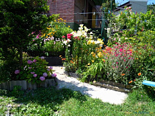 Гостевой дом "Аморе"  Гостевой дом "Аморе"