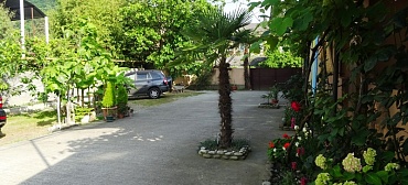 Гостевой дом Светлана на Алычевом