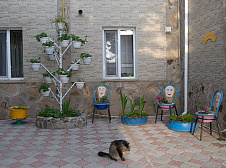 Гостевой дом “У Петровича”