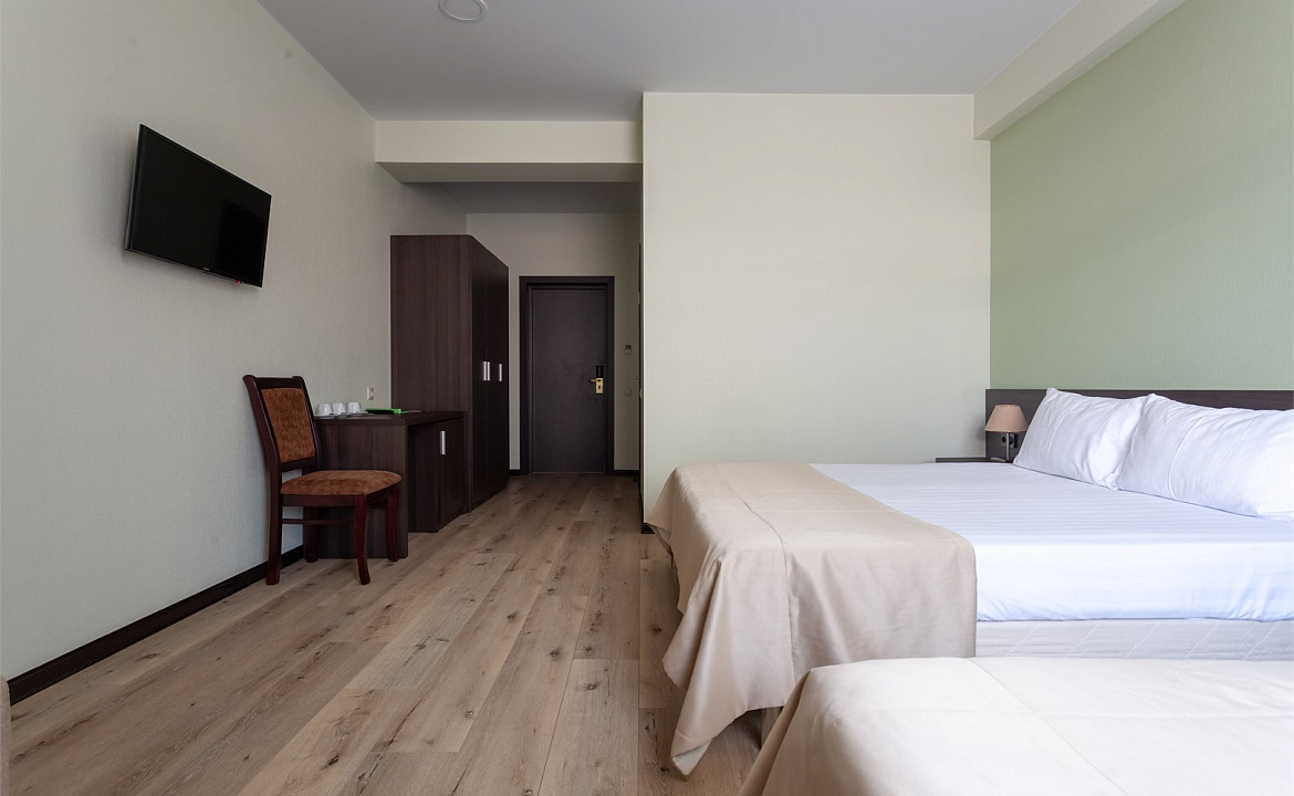 СТАНДАРТ ТРЕХМЕСТНЫЙ. ЭКОДОМ АДЛЕР ****. Адлер