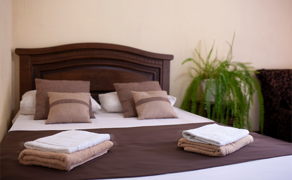 Стандарт двухместный с креслом. Гостевой дом «Алоиза». Лоо