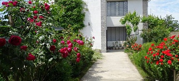 Частный гостевой дом "Аврора"