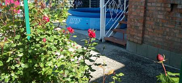 Гостевой дом Виктория - Макопсе