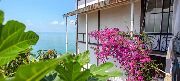 Отель Дача художников