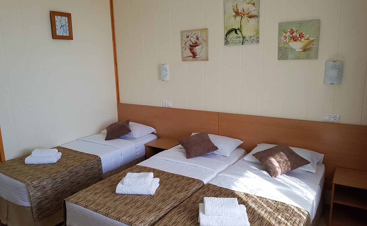 Люкс с отдельным балконом 3хместный. Отель АСТОН. Нижнее Джемете