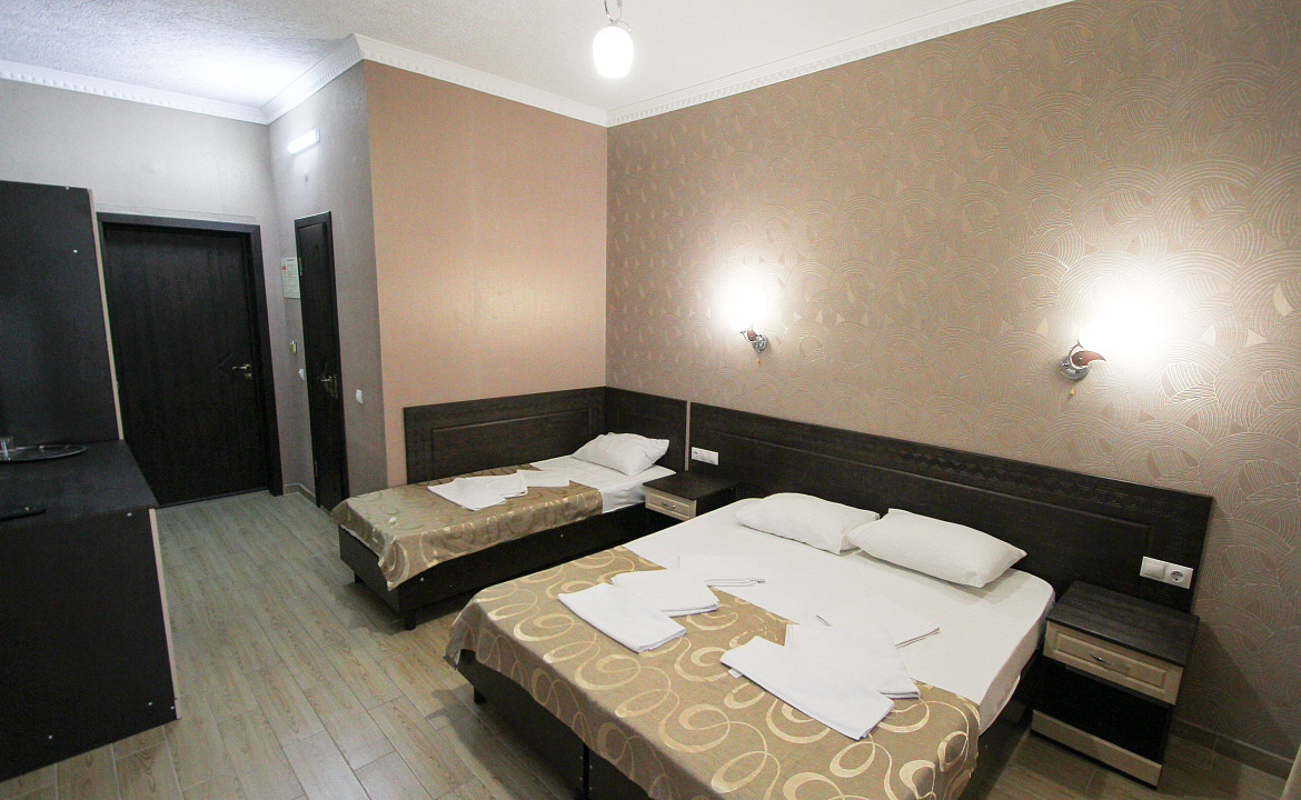 ПОЛУЛЮКС 3-Х МЕСТНЫЙ. Отель “ЯНАКИС”. Витязево