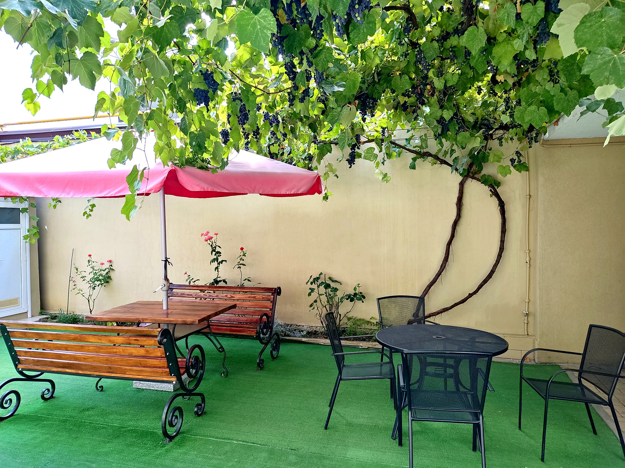 . Гостевой дом "Одиссей" - Кабардинка. Кабардинка