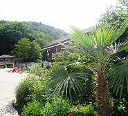 Гостевой дом Все наши у Аркаши Гостевой дом Все наши у Аркаши