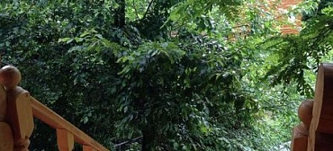 Гостевой дом "Наш дворик" в Джубге        Гостевой дом "Наш дворик" в Джубге