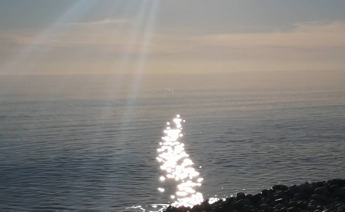 Лавровый лист . Частный сектор Лавровый лист. Новый Афон