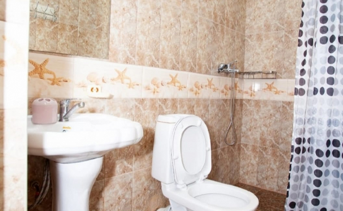 Стандарт 4х-местный . Гостевой дом "Оазис" в гостях у Анжелики.. Цандрипш