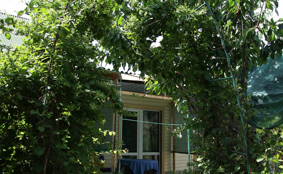 3х местный. Частный сектор Семейный дом " Виктория".. Отдых с детьми