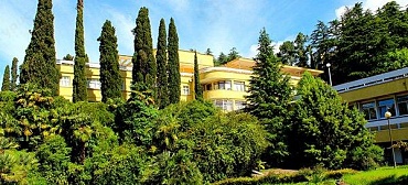 Санаторий Сочинский Санаторий Сочинский