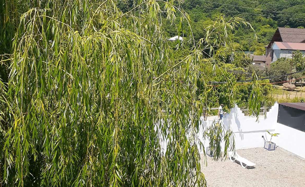 Дуплекс . "Бунгало". Пицунда