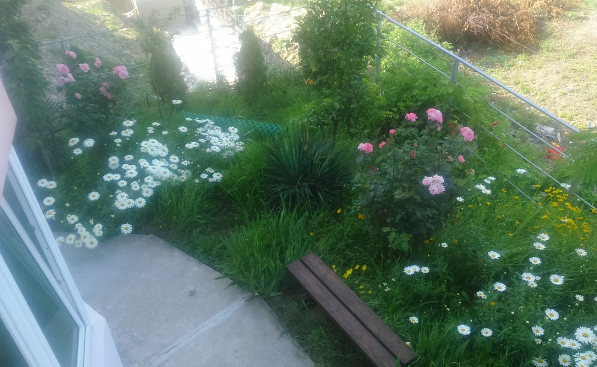 Полулюкс. Гостевой дом Дельфин - Новомихайловский. Новомихайловский