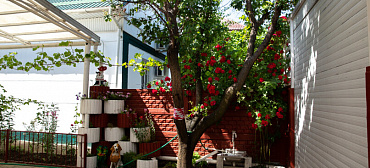 Гостевой дом " У Виктора" Гостевой дом " У Виктора"