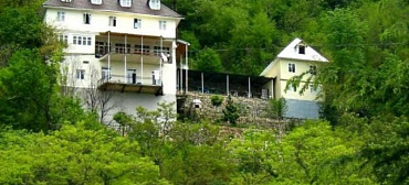 Отель Дача художников