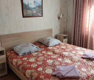 Двухместный номер с удобствами, 1 этаж балкон. Гостевой дом "Ставрополье". 