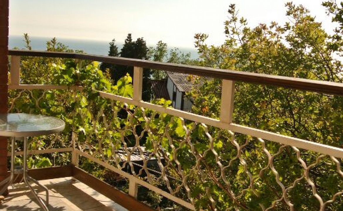 Коттедж. Гостевой дом ПОНИЗОВКА. Понизовка