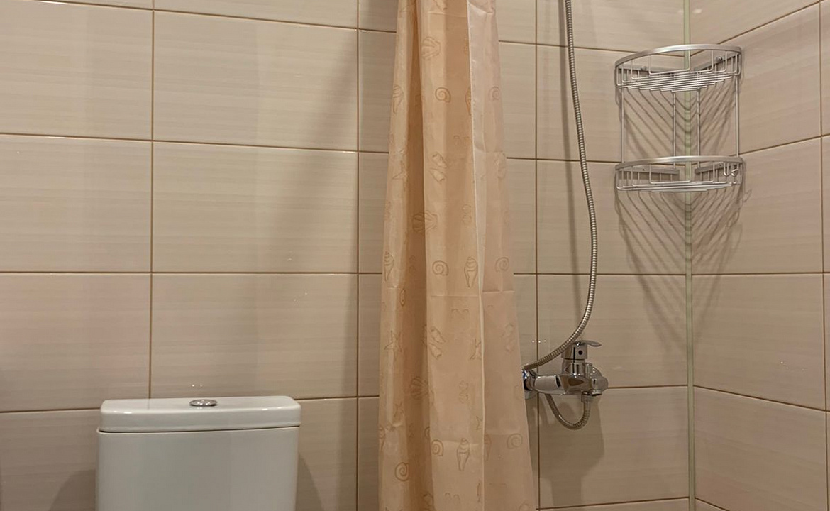 Люкс с 1 спальней. Гостевой дом ЭЙВА. Пицунда