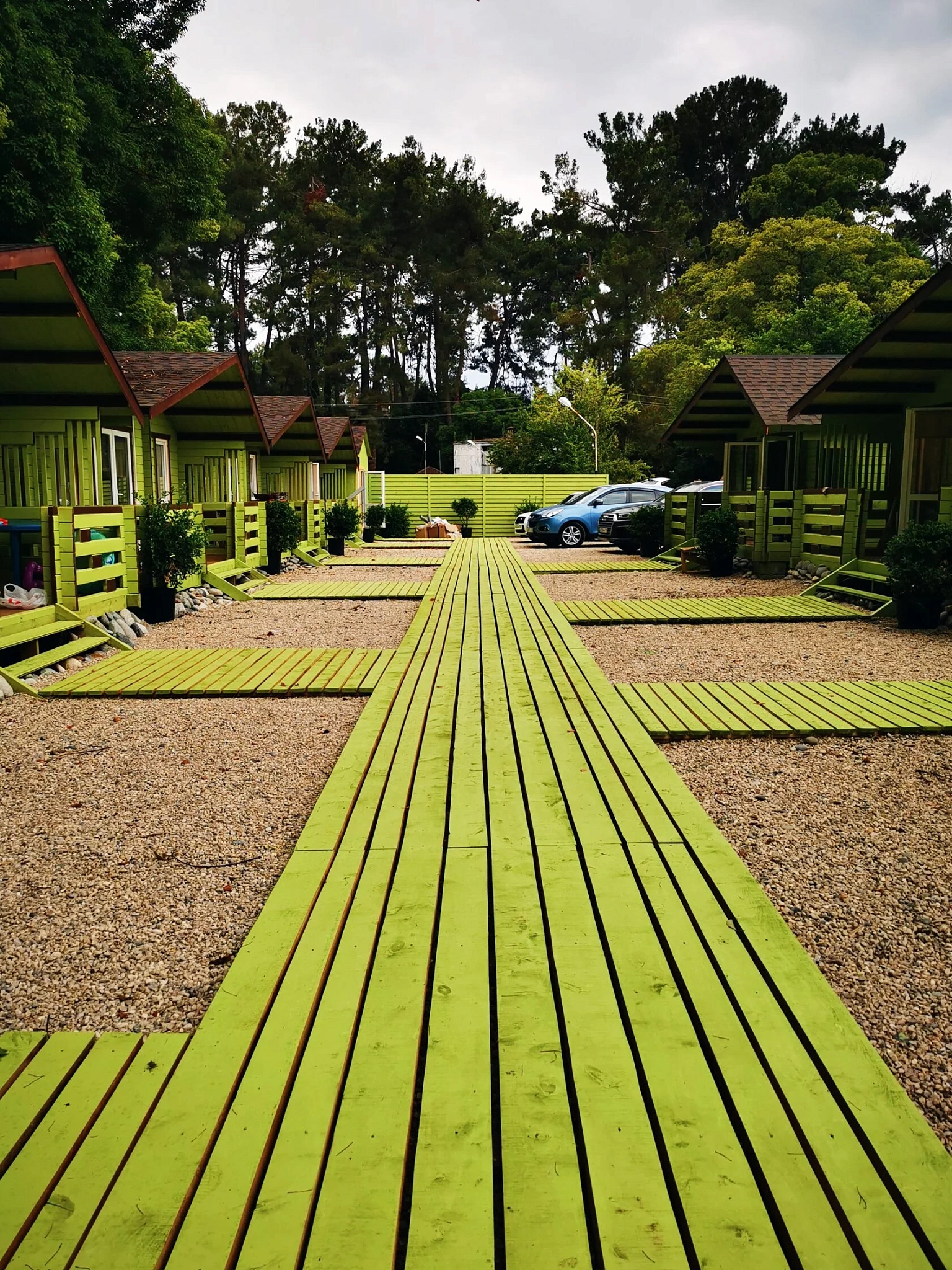 . Гостевой дом САДКО. Пицунда . Гостевой дом САДКО. Пицунда