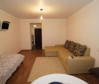 1-комнатная квартира. Квартира в многоквартирном доме Ладария 2. 