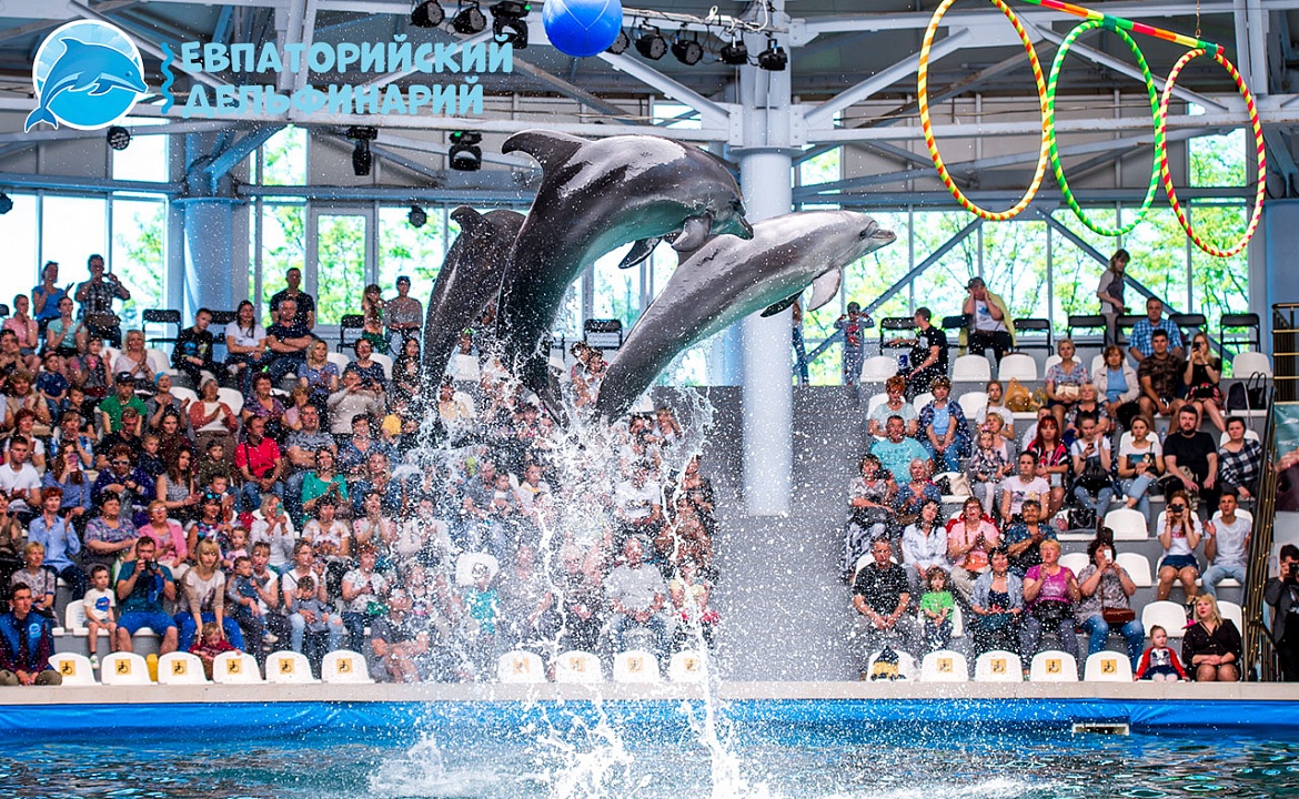 Евпаторийский дельфинарий. Фото взято с сайта: http://dolphinevpatoria.ru/